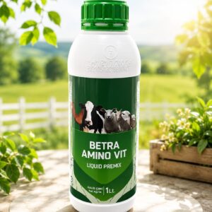 BETRA AMINO VIT 1L/KG