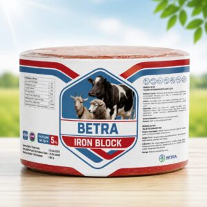 BETRA IRON BLOCK 5KG