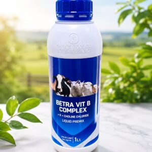 BETRA VIT B COMPLEX 1L/KG